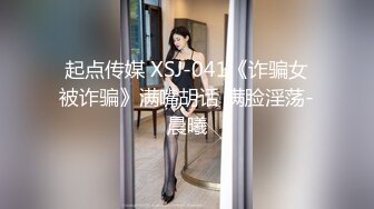 起点传媒 XSJ-041《诈骗女被诈骗》满嘴胡话 满脸淫荡-晨曦