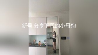 Tina很妖孽呀 双马尾学生与老师