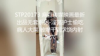 11-20 外围场，25岁极品御姐，黑丝高跟美腿，惨遇打桩机干趴，探花精品佳作必看