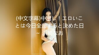 (中文字幕)中出し！エロいことは今日全部すると決めた日～ 浜崎なお