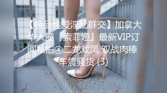 【极品性爱淫乱群交】加拿大华人圈『索菲娅』最新VIP订阅私拍④二龙戏凤 双战肉棒 车震骚货 (3)