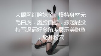 河北年轻小母狗