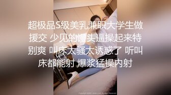 双赢性爱 想要攻击山雀并被攻击