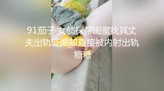 麻豆传媒-与帅气王子的性爱憧憬-林嫣