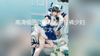 高清偷拍公司里的牛仔裤少妇拉大号