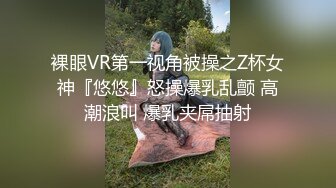 湿淋淋的骚逼，亮闪闪的屌，侧入骚水十足的老婆