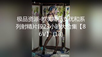 极品资源-欧美精品女优和系列射精片段23小时大合集【86V】 (18)