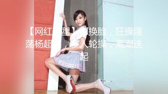 VMC-008(41VMC008)[H.M.P]若奥さん恥ずかし責め沖遙