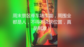 胸大性感的良家楼凤美女被屌哥换着花样操