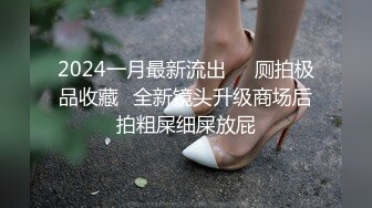 2024一月最新流出❤️厕拍极品收藏✿全新镜头升级商场后拍粗屎细屎放屁