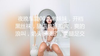 SWAG NTR车模老婆的绿帽梦想 琳琳