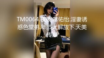   探花陈先生，深夜上门偷拍楼凤，极品大胸配上翘臀，含男根骚话连篇