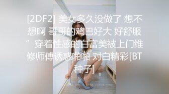 新人 奶呼呼 首套 性感情趣兔女仆服饰 丰满诱人的身段妩媚多姿 极致美腿性感动人