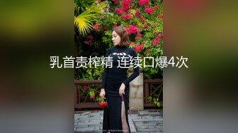 杏吧 私人會所茶藝師的VIP服務