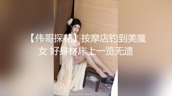 清晰后入