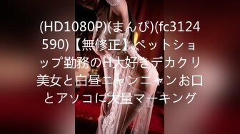 [285ENDX-409] アイドル顔のお淑やかなCAさん 一晩で5発射希望するビッチでした！