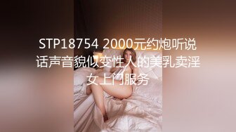 STP18754 2000元约炮听说话声音貌似变性人的美乳卖淫女上门服务