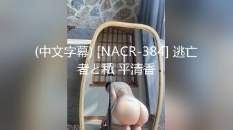 (中文字幕) [NACR-384] 逃亡者と私 平清香