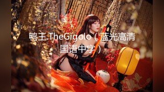 鸭王.TheGigolo（蓝光高清国语中字）