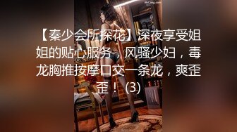 【秦少会所探花】深夜享受姐姐的贴心服务，风骚少妇，毒龙胸推按摩口交一条龙，爽歪歪！ (3)