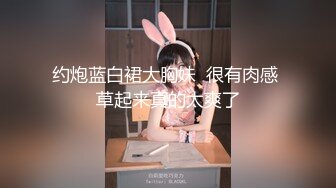 成都小少妇2