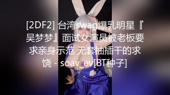 【核弹绝版❤️流出】E杯奈奈✿ 某企劲爆身材反差婊高管 极品大长腿丝袜诱惑 可御可奴淫乱私生活 妥妥肉便器