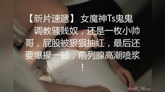 【最新OF订阅】绝世容颜韩国TS美妖「Lee Lee」「Lin」 粉红情趣内衣少女扒开双腿让粉丝操屁眼