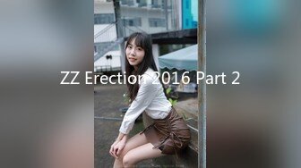 ZZ Erection 2016 Part 2