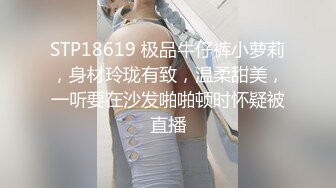 【利仔探花】渔网情趣装，D罩杯粉乳，风骚小姐姐遇上打桩机，激情碰撞，骚叫震天响，注定一场视觉性爱盛宴