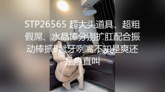 合肥E乳小母狗吞精