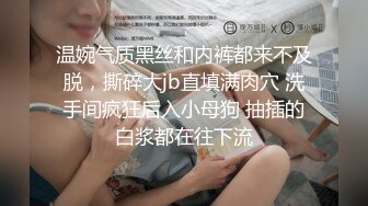 温婉气质黑丝和内裤都来不及脱，撕碎大jb直填满肉穴 洗手间疯狂后入小母狗 抽插的白浆都在往下流