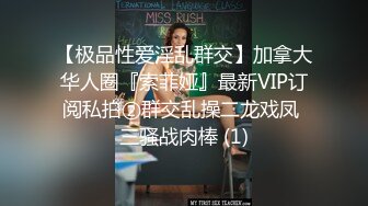 【极品性爱淫乱群交】加拿大华人圈『索菲娅』最新VIP订阅私拍②群交乱操二龙戏凤 三骚战肉棒 (1)