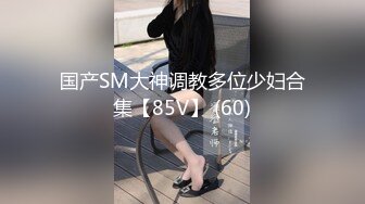 国产SM大神调教多位少妇合集【85V】 (60)