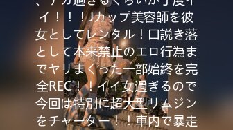 私が入れるために挿れさせる理由＜年間支払料の176％＞