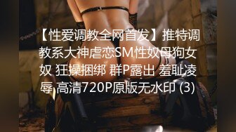 【性爱调教全网首发】推特调教系大神虐恋SM性奴母狗女奴 狂操捆绑 群P露出 羞耻凌辱 高清720P原版无水印 (3)