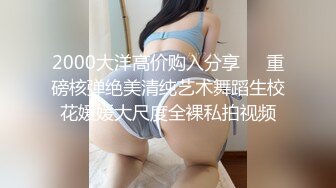 2000大洋高价购入分享❤️重磅核弹绝美清纯艺术舞蹈生校花媛媛大尺度全裸私拍视频