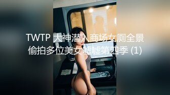 TWTP 大神潜入商场女厕全景偷拍多位美女嘘嘘第四季 (1)