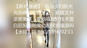 E罩杯妹妹与两支大鸡鸡哥哥玩3P