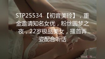 STP25534 【初音美玲】，重金邀请知名女优，粉丝圆梦之夜，22岁极品美女，搔首弄姿配合听话