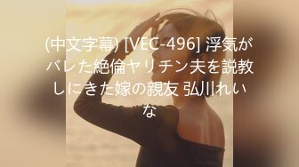 (中文字幕) [VEC-496] 浮気がバレた絶倫ヤリチン夫を説教しにきた嫁の親友 弘川れいな