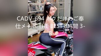 CADV-694 ボクだけのご奉仕メイド THE BEST 8時間 3-B