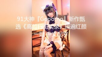 91大神『Goporno』新作甄选《高颜扫街实录》操遍红颜一姐 中文配字