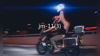 jm-11(3)