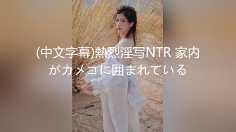 (中文字幕)熱烈淫写NTR 家内がカメコに囲まれている