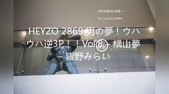 HEYZO 2869 男の夢！ウハウハ逆3P！！Vol.8 – 横山夢 – 皆野みらい