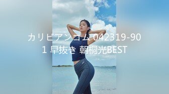 カリビアンコム 042319-901 早抜き 朝桐光BEST