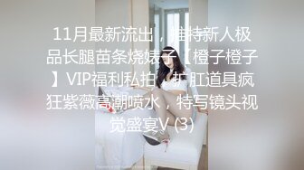 11月最新流出，推特新人极品长腿苗条烧婊子【橙子橙子】VIP福利私拍，扩肛道具疯狂紫薇高潮喷水，特写镜头视觉盛宴V (3)