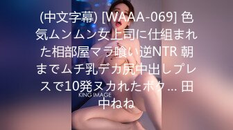 「えっち5回しかしたことない…」純朴清楚な19歳大学生 姫野るなAVデビュー 初めてのごっくん中出し3P！初めて尽くしの変態な1日