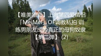 2/11最新 手铐调教极品白网袜小女友无套抽插骚穴VIP1196