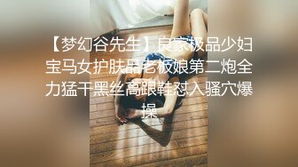 正宗SM游戏,女王与男仆